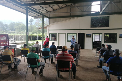 curso de salud ocupacional